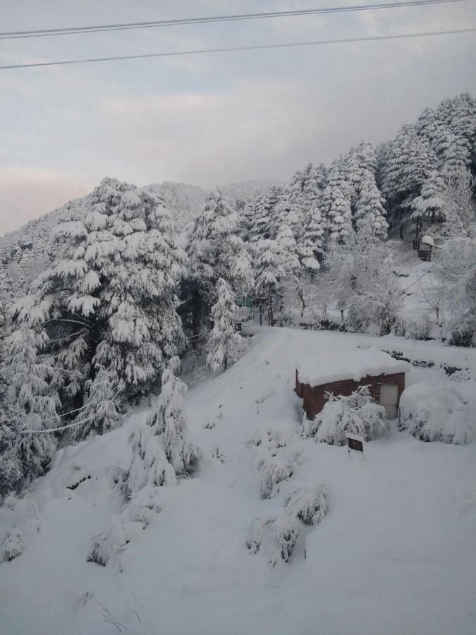 Hotel Green Orchid Udhampur Exterior foto